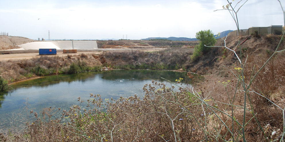 Reshaping and renaturalization <br>of an artificial lake in a landfill