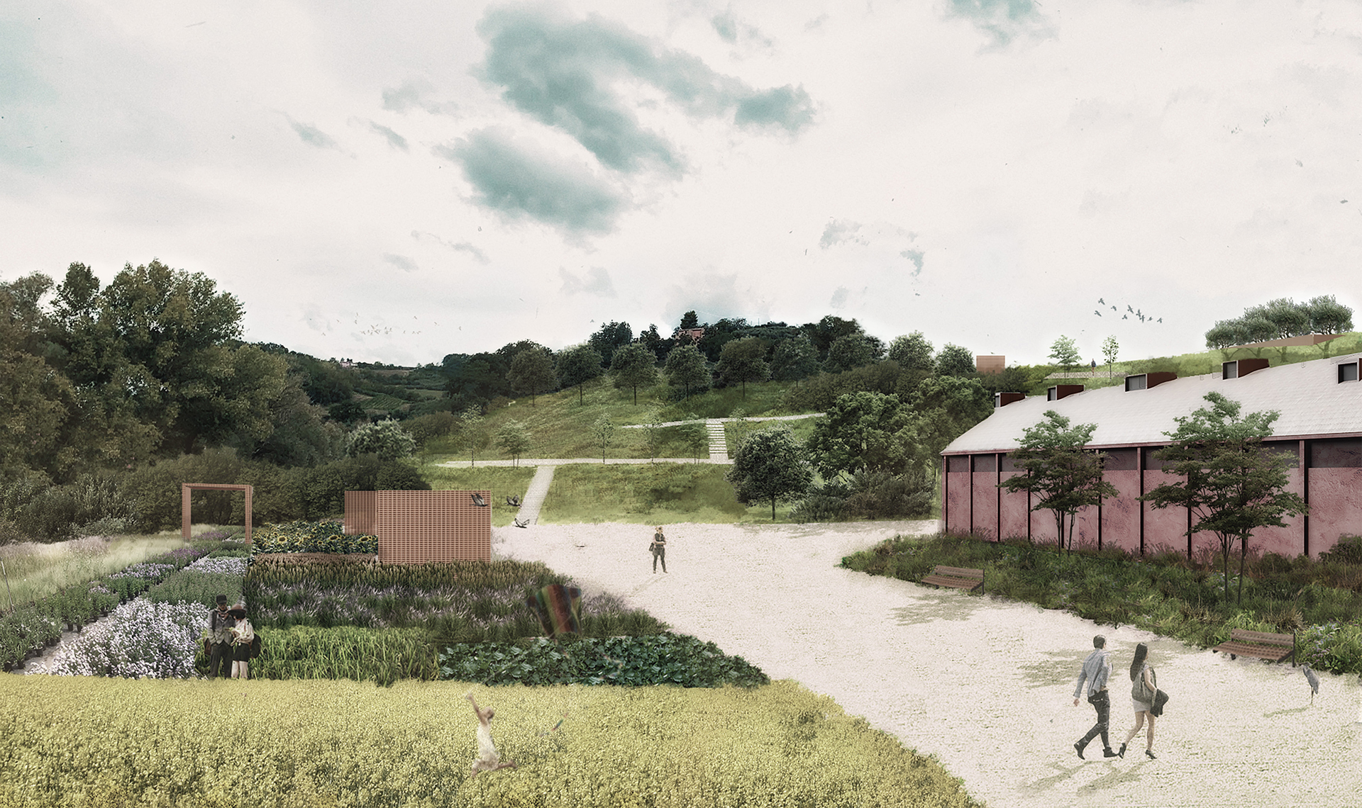 Rinaturalizzazione con ripristino dei luoghi di un ex-cava di argilla / Il parco custode