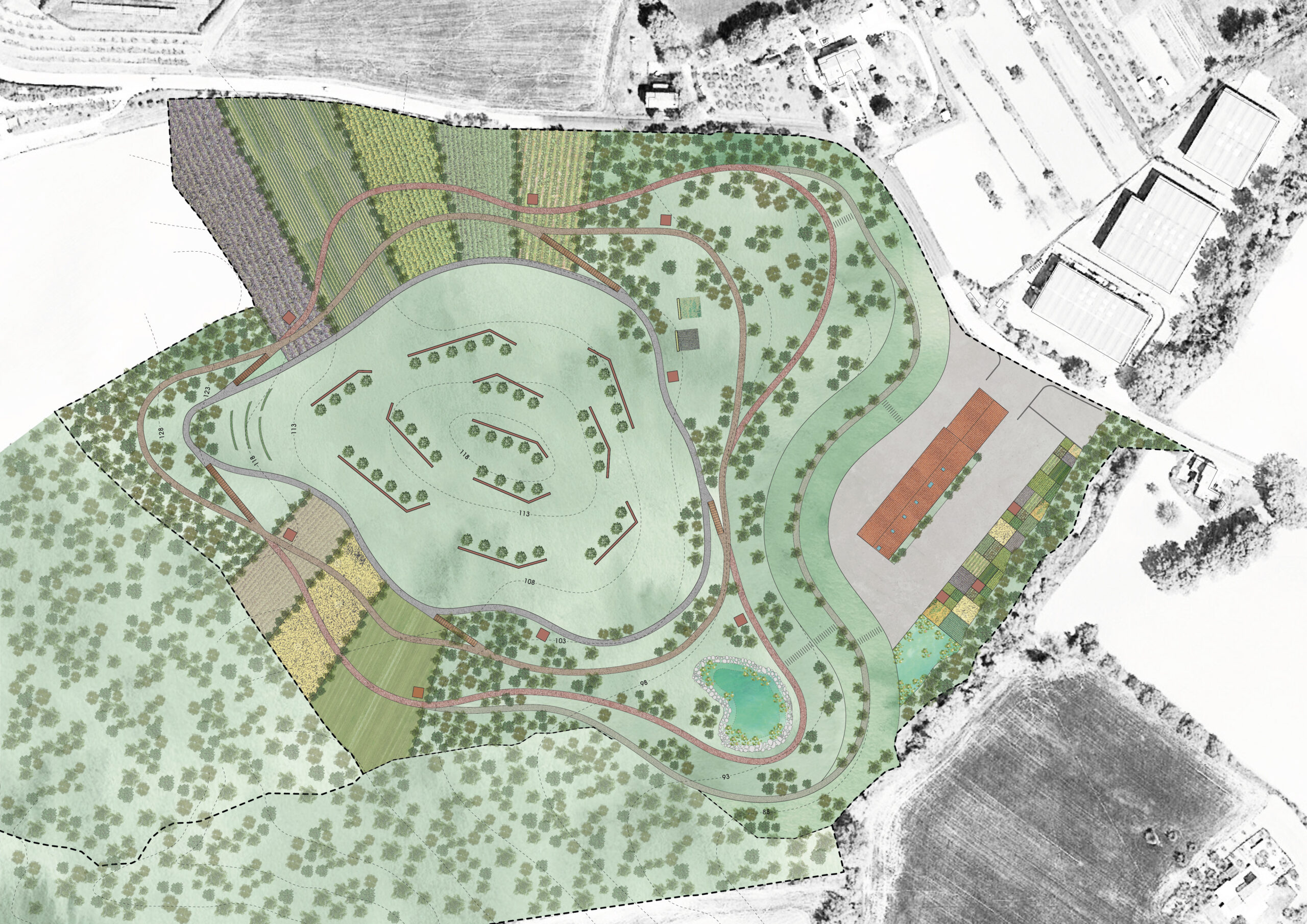 Rewilding and environmental reclamation of a former clay pit / The Guardian Park