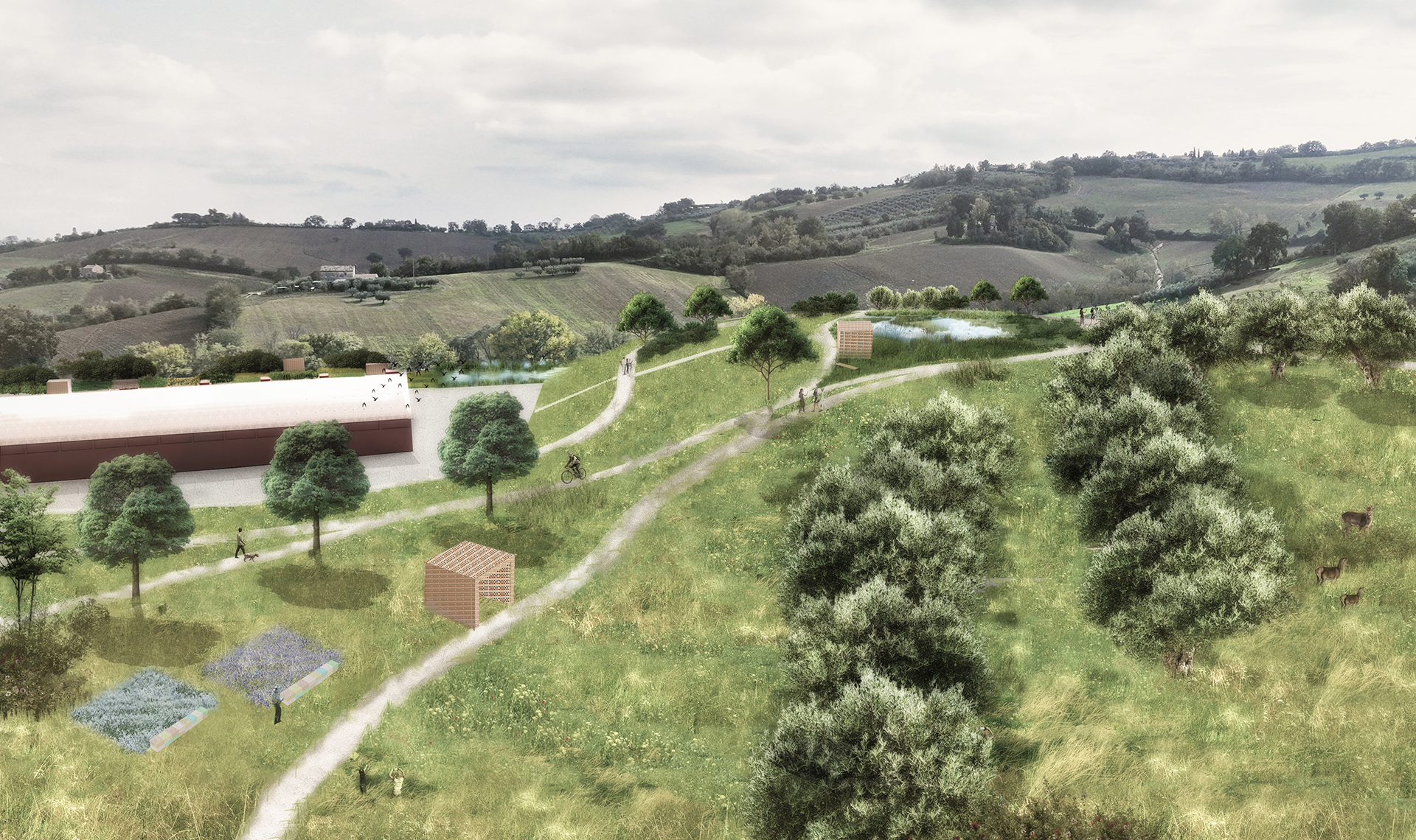 Rewilding and environmental reclamation of a former clay pit / The Guardian Park