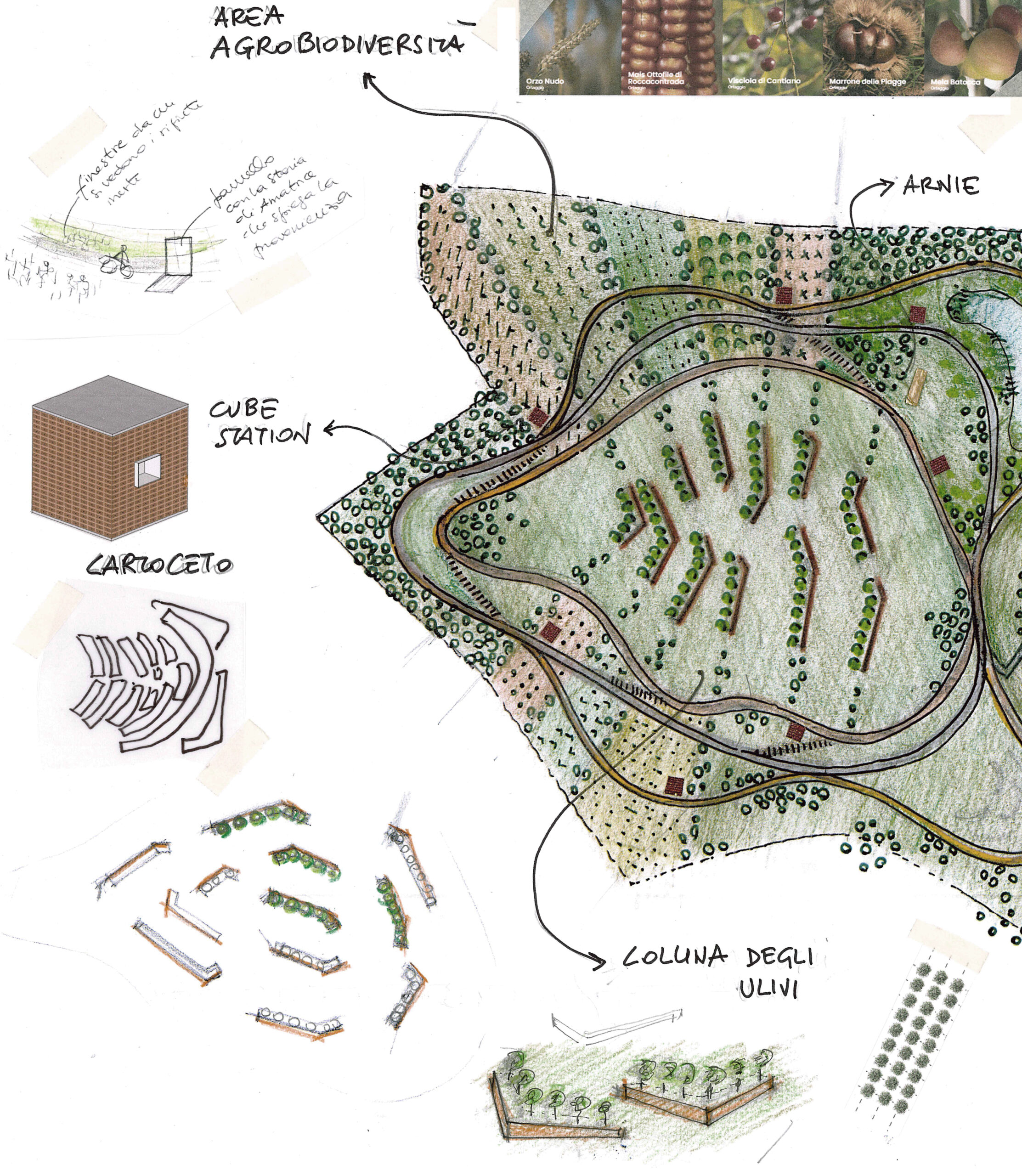 RINATURALIZZAZIONE DI UN EX-CAVA DI ARGILLA / BRAINSTORMING