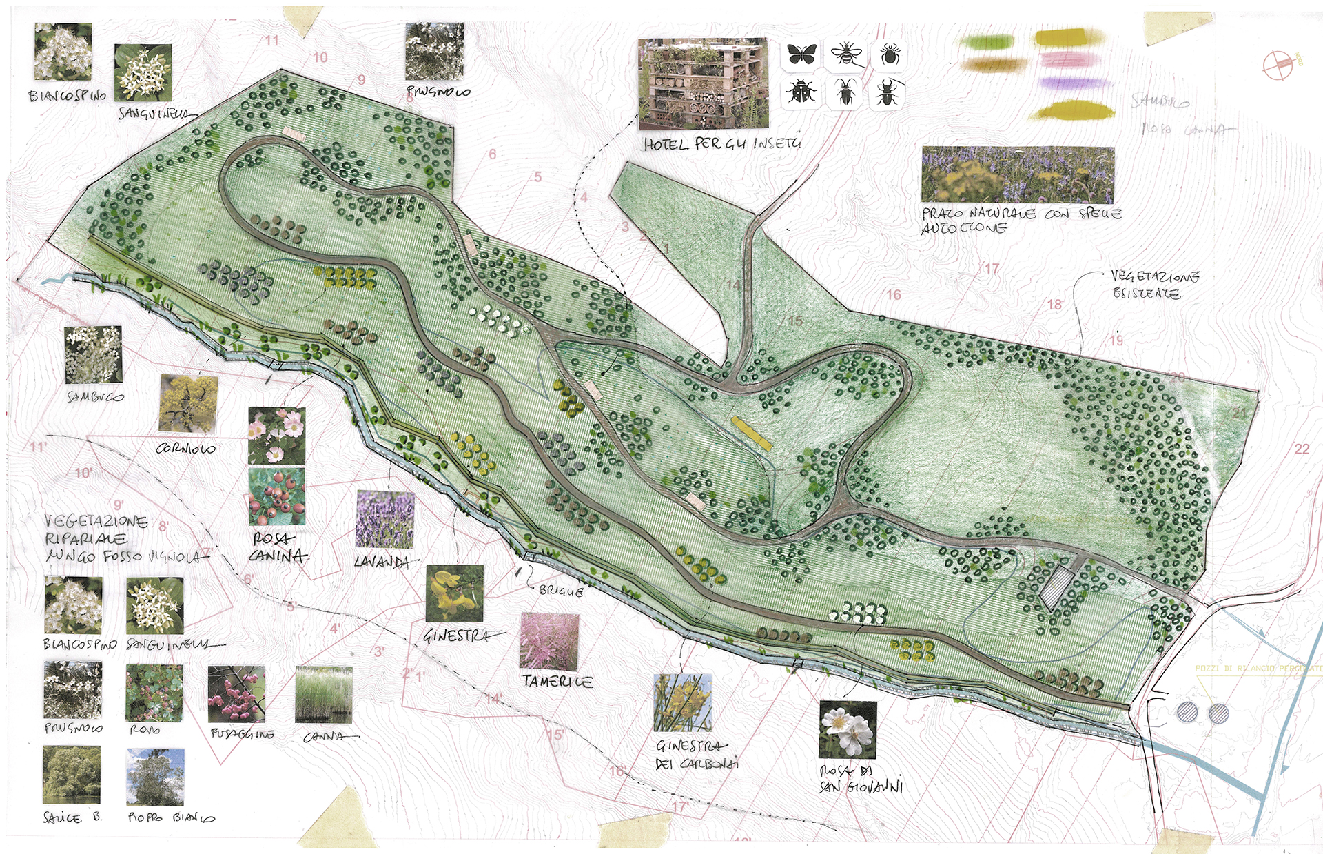 Riqualificazione di ex sito di discarica con ripristino paesaggistico e morfologico dell’area