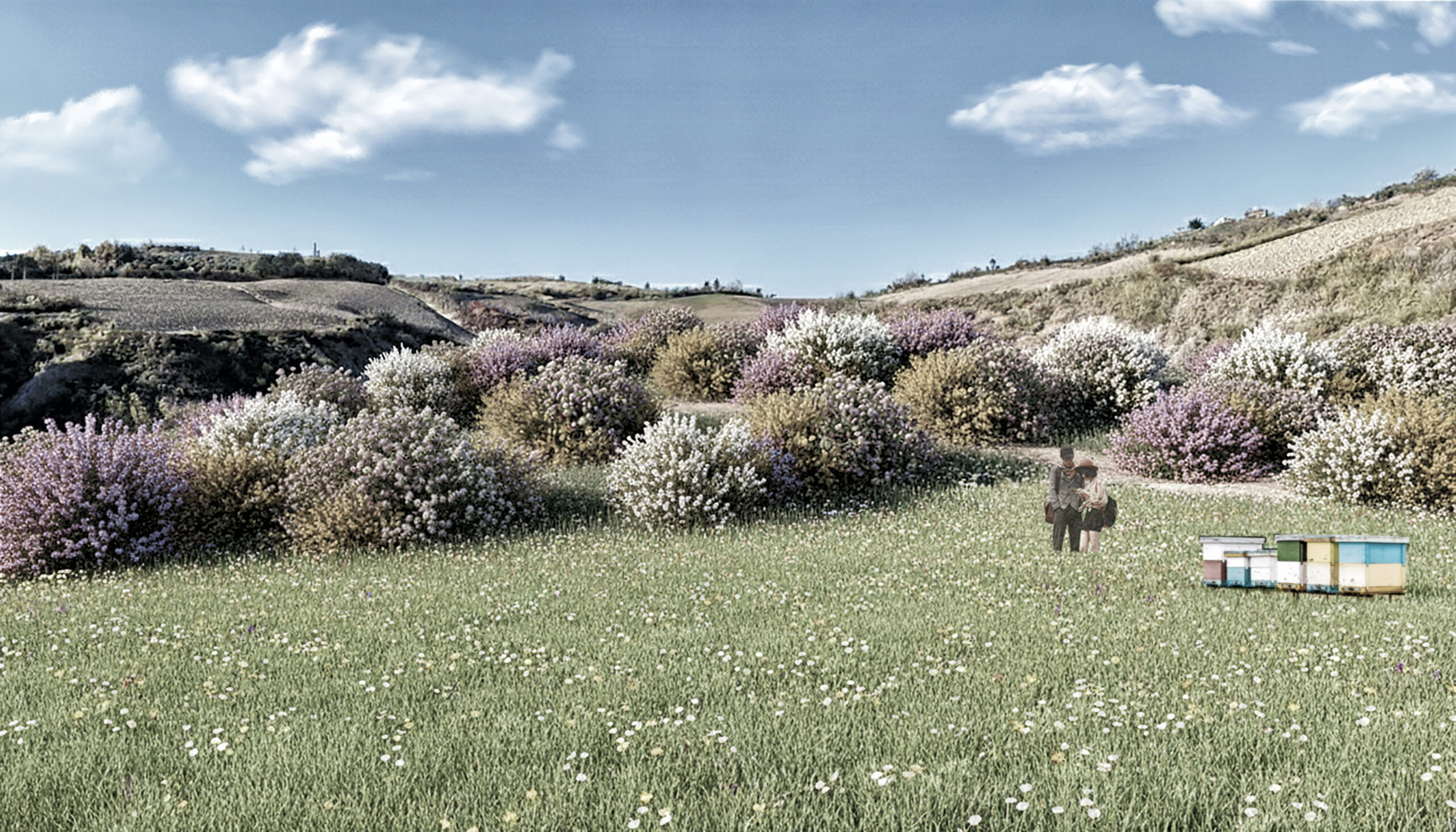 Riqualificazione di ex sito di discarica con ripristino paesaggistico e morfologico dell’area